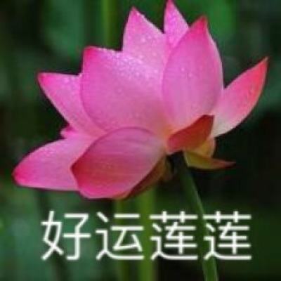 上海中学2024自主招生面试题，如何用二元二次方程组表达「春草明年绿，王孙归不归」的意境？